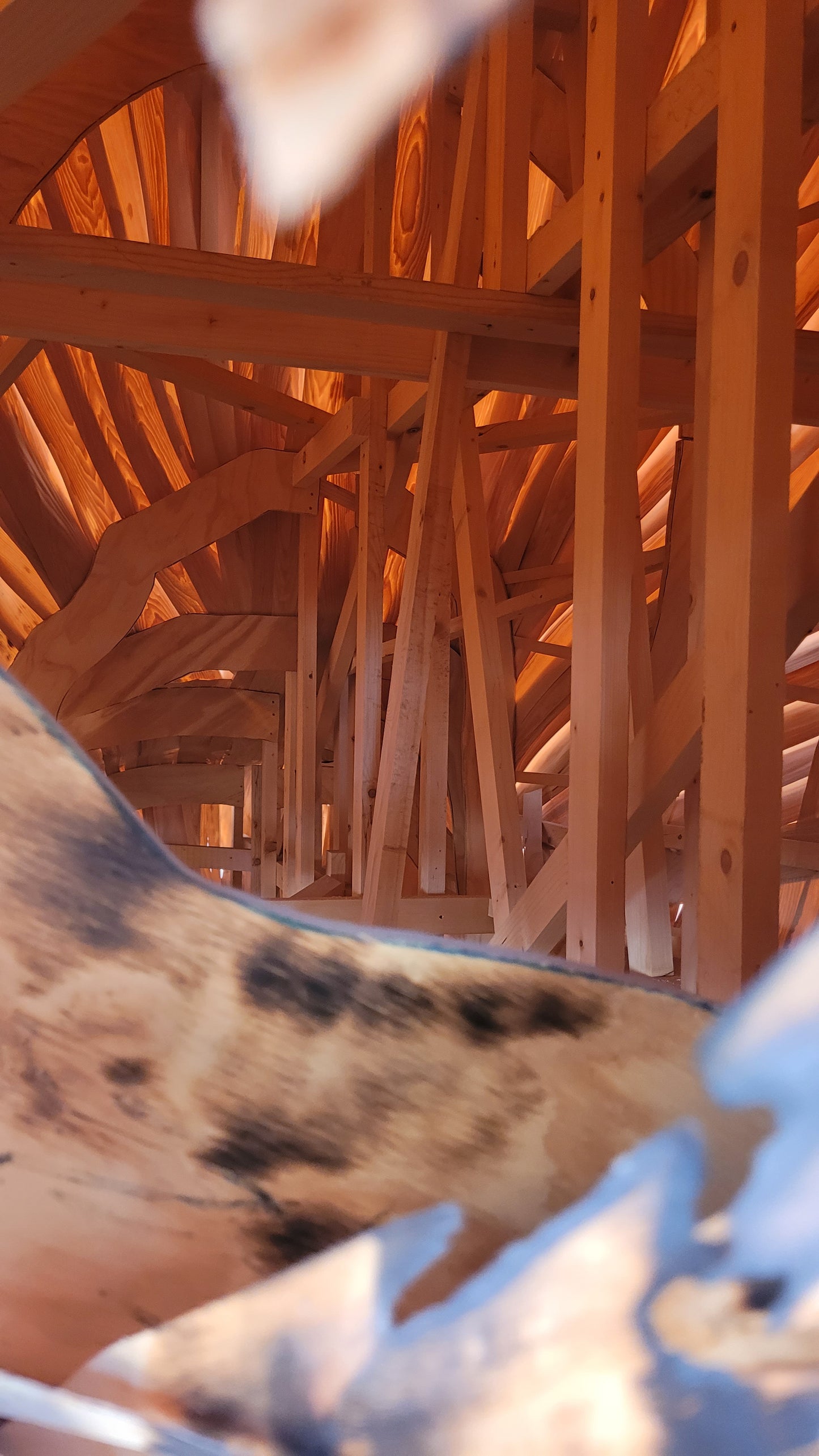 Swiss Pavilion | Wooden Shapes, 2.23.5