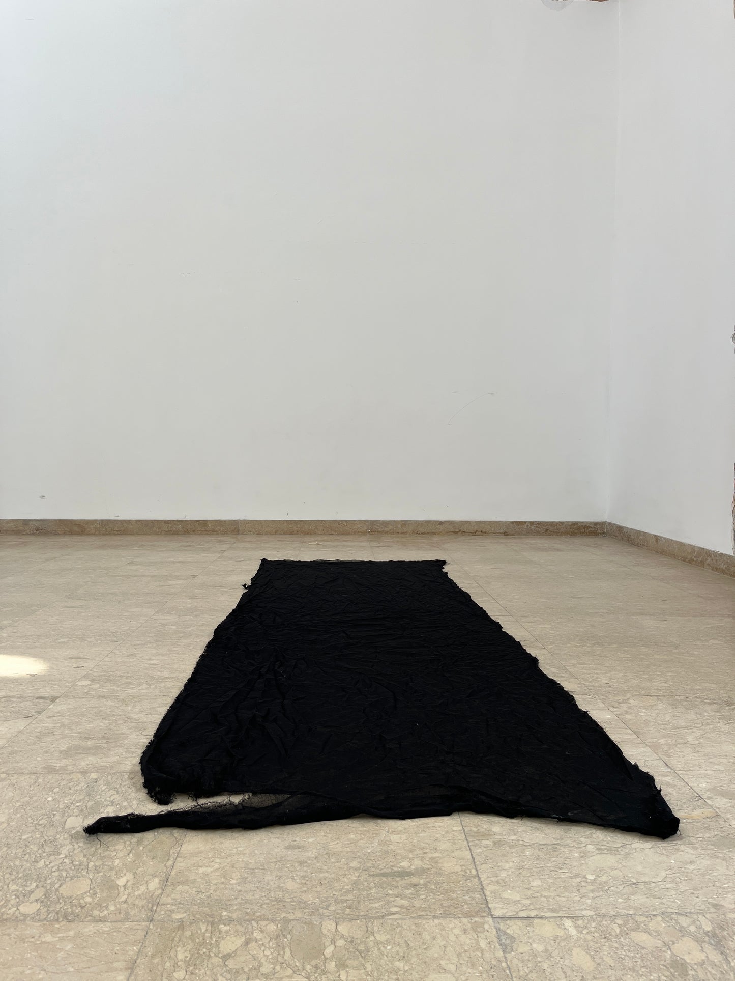 Romanian Pavilion | Black Fabric, 2.20.2